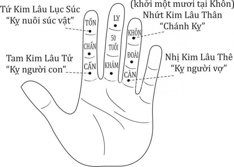 Bốn loại hạn Kim L&acirc;u phổ biến